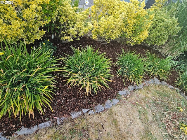5503 NE 53rd Cir, Vancouver, WA 98661 - view of yard