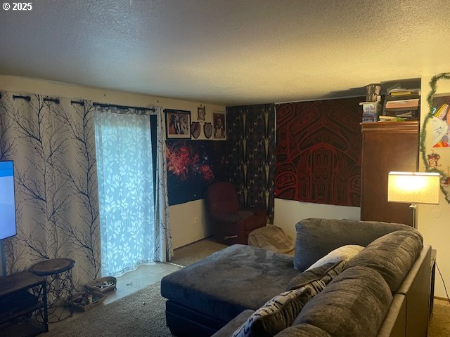 living area with carpet floors and a textured ceiling