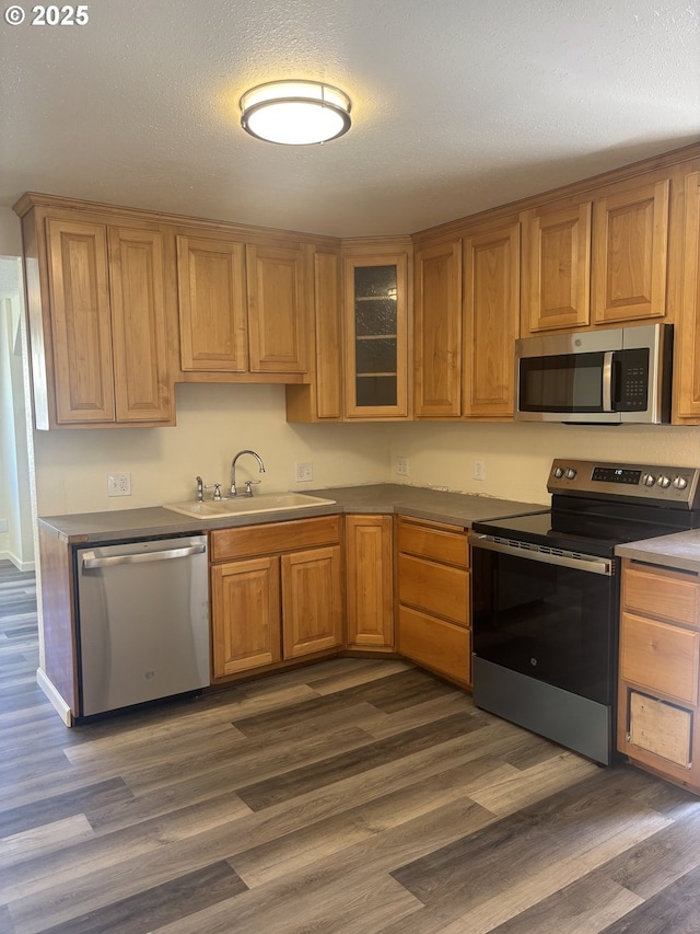 kitchen with brown cabinetry, glass insert cabinets, dark wood-style floors, a sink, and appliances with stainless steel finishes