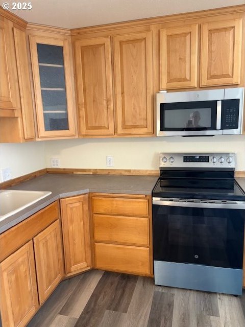 kitchen featuring stainless steel appliances, a sink, dark wood-style floors, and glass insert cabinets