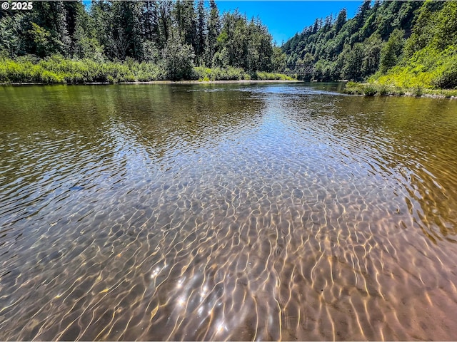 2380 NE Rene Ave, Gresham, OR 97030 - water view with a forest