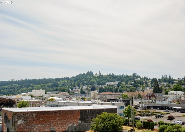 1 3rd St, Astoria, OR 97103 - view of city