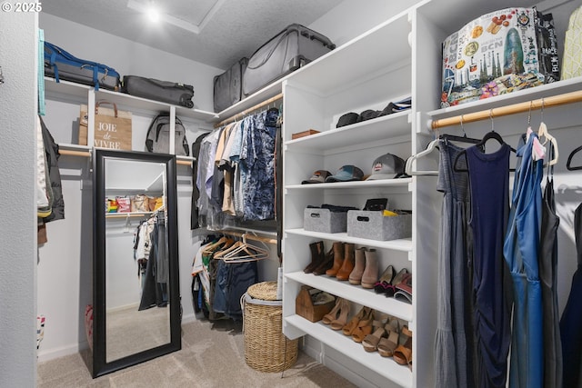12453 SW Sheldrake Way, Beaverton, OR 97007 - spacious closet featuring carpet flooring and attic access