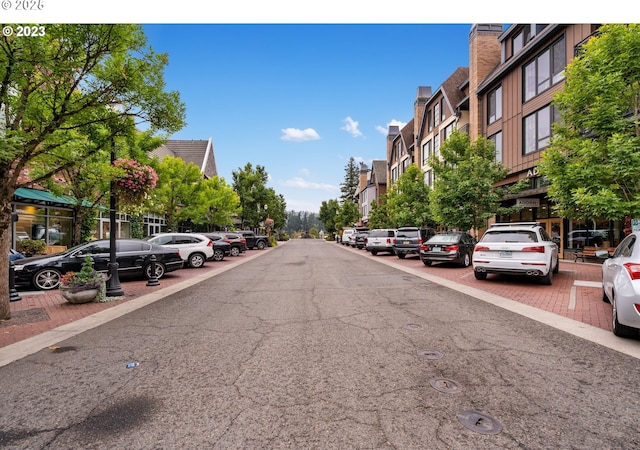 1247 Spruce St, Lake Oswego, OR 97034 - view of asphalt street