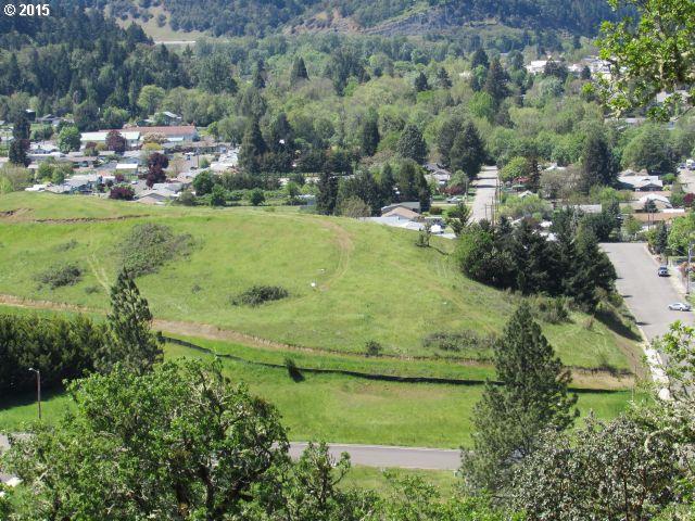 0 NE Simpson Ln, Myrtle Creek, OR 97457
