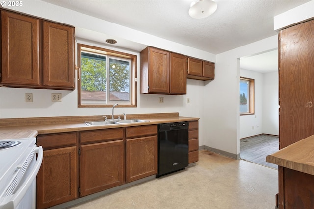 2509 E J Ct, La Grande, OR 97850 - kitchen featuring brown cabinets, a wealth of natural light, a sink, and dishwasher