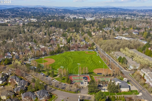 drone / aerial view