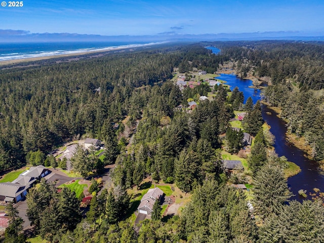 bird's eye view featuring a water view and a forest view
