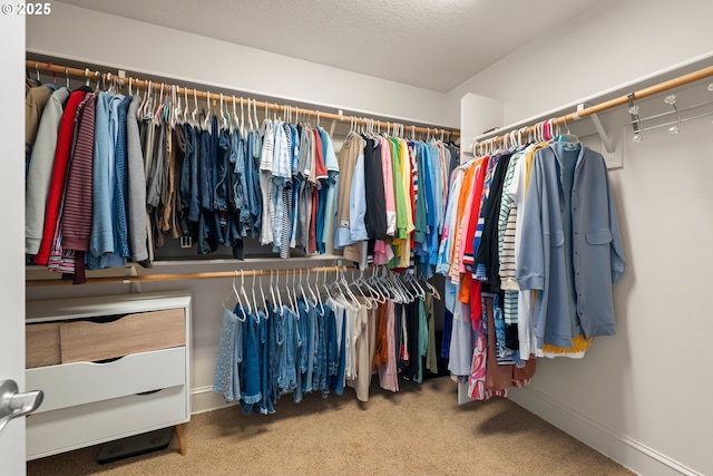 12696 NW Alsace Ln, Portland, OR 97229 - spacious closet featuring carpet