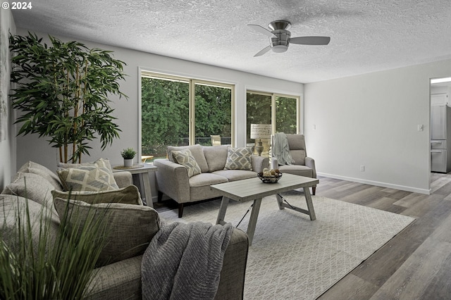 5323 Verda Ln, Keizer, OR 97303 - living room with a ceiling fan, wood finished floors, baseboards, and a textured ceiling