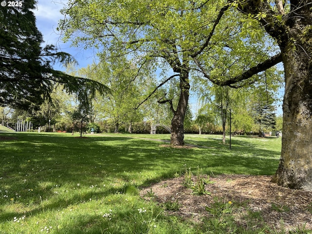view of grassy yard