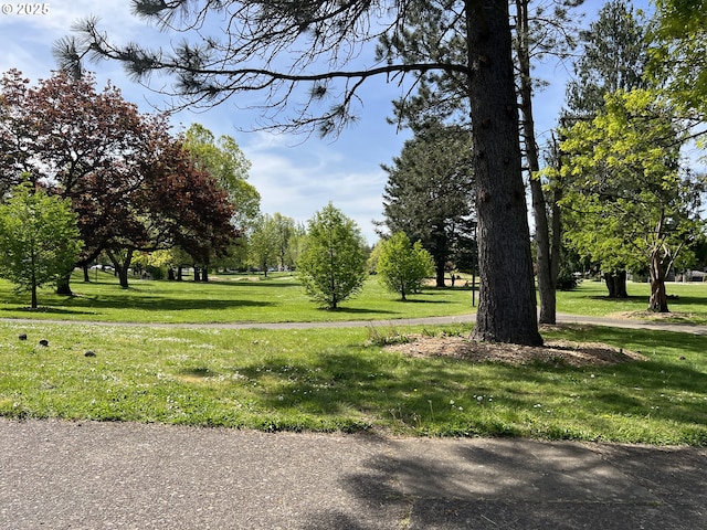 surrounding community with a yard