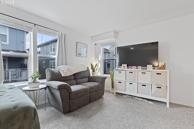 living area with carpet and baseboards