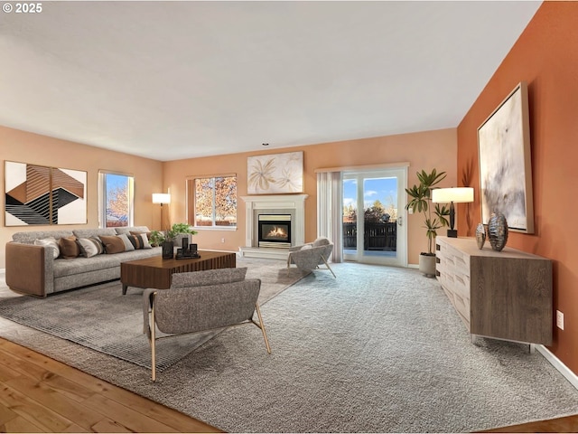 living room with a glass covered fireplace, baseboards, and wood finished floors