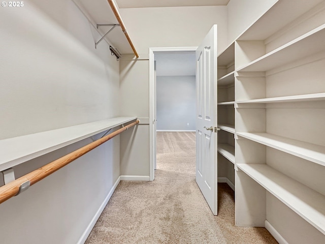 walk in closet with light carpet