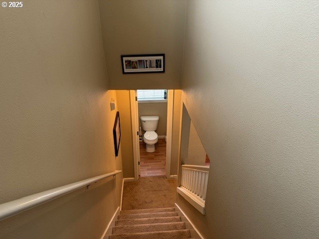 staircase featuring carpet and baseboards