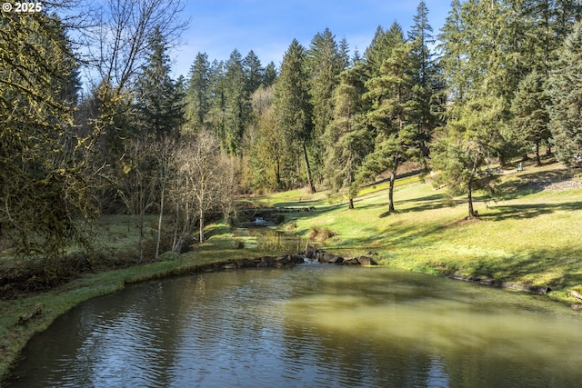 21420 NE Red Hills Ln, Dundee, OR 97115 - water view