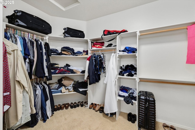 walk in closet with carpet