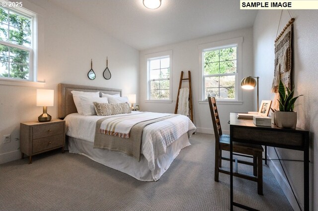 carpeted bedroom with multiple windows and lofted ceiling