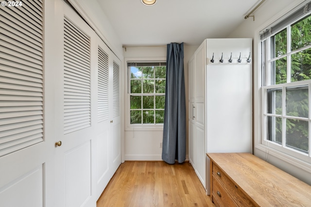 mudroom featuring a healthy amount of sunlight and light wood-type flooring