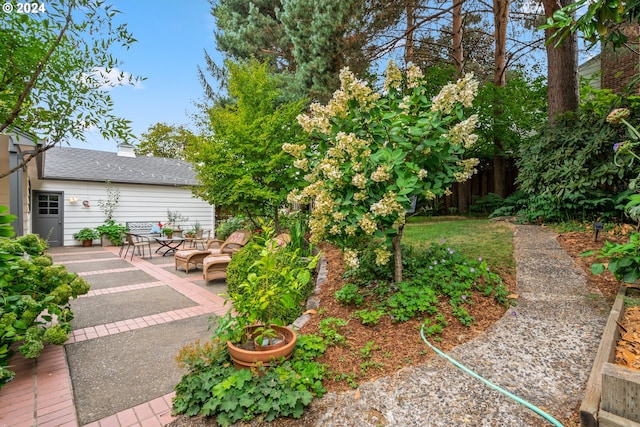 view of yard featuring a patio area