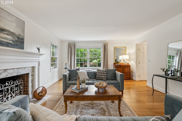 living room featuring ornamental molding, light hardwood / wood-style floors, and a fireplace