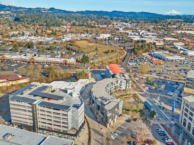 drone / aerial view featuring a mountain view