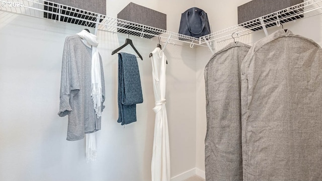 view of spacious closet