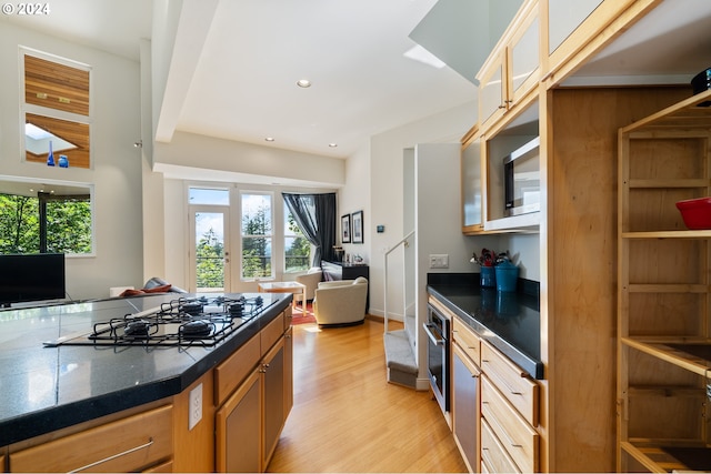 kitchen with a healthy amount of sunlight, stainless steel appliances, and light wood-type flooring