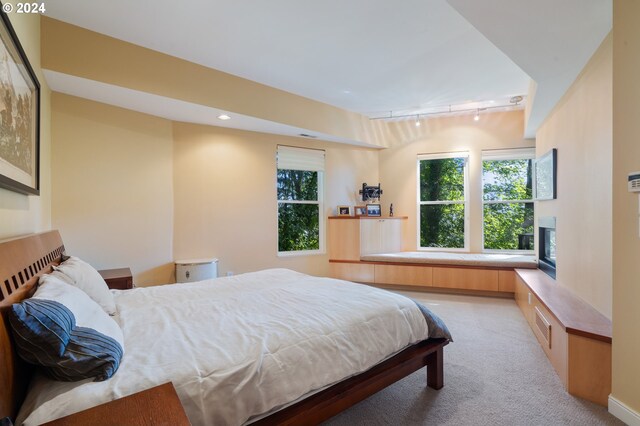 carpeted bedroom featuring rail lighting