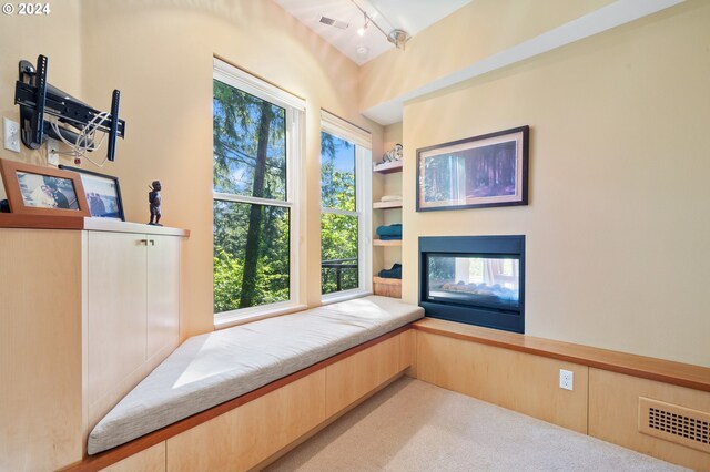 living area featuring a multi sided fireplace, rail lighting, light carpet, and built in features