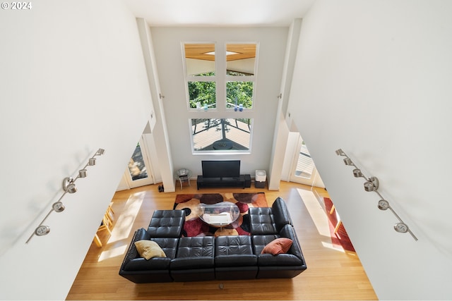 living room featuring light hardwood / wood-style floors and a high ceiling