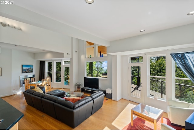 living room featuring french doors and light hardwood / wood-style floors