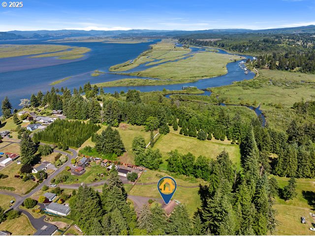 93011 Labeck Rd, Astoria, OR 97103 - view of property location with a water and mountain view and a forest