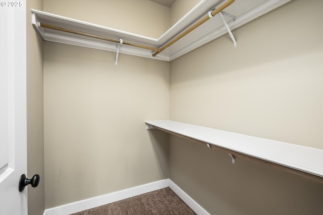 spacious closet with carpet floors