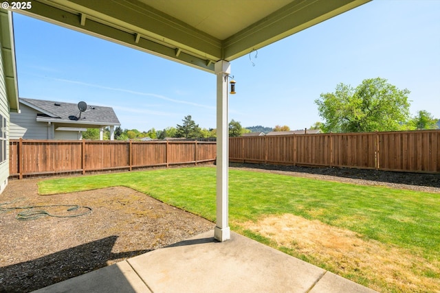 view of yard featuring a fenced backyard and a patio