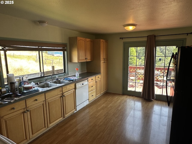 77668 Dugan Ln, Cottage Grove, OR 97424 - kitchen with dishwasher, dark countertops, wood finished floors, a textured ceiling, and freestanding refrigerator