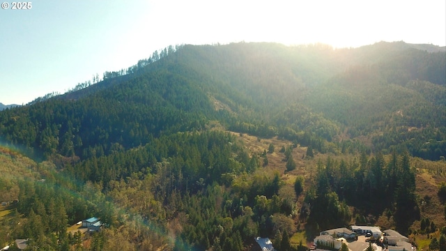 view of mountain feature featuring a view of trees