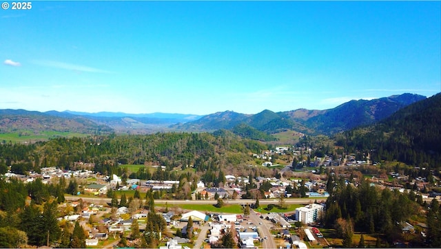 property view of mountains with a wooded view