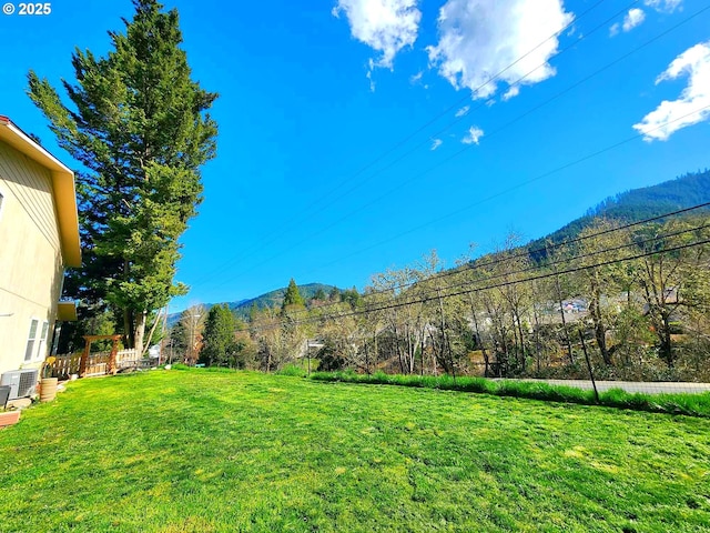 view of yard featuring a mountain view