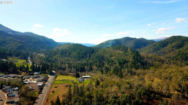 mountain view featuring a wooded view