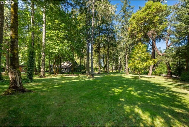 2517 Wild River Dr, Roseburg, OR 97470 - view of yard