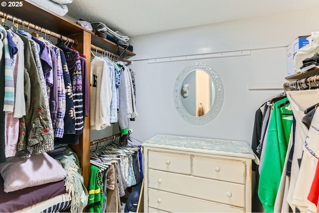 view of spacious closet