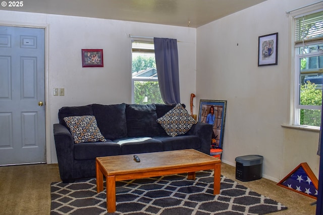 335 Marie St, Medford, OR 97504 - living area featuring carpet and baseboards