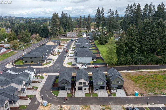 drone / aerial view