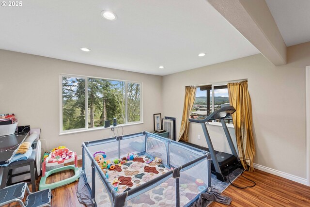 bedroom featuring wood finished floors, multiple windows, baseboards, and recessed lighting