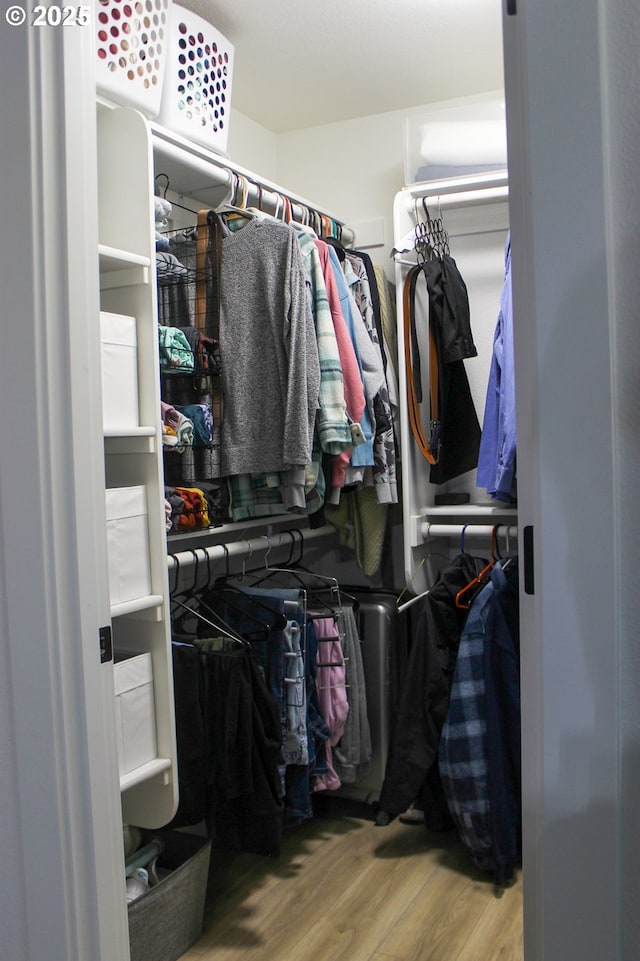 walk in closet featuring wood finished floors