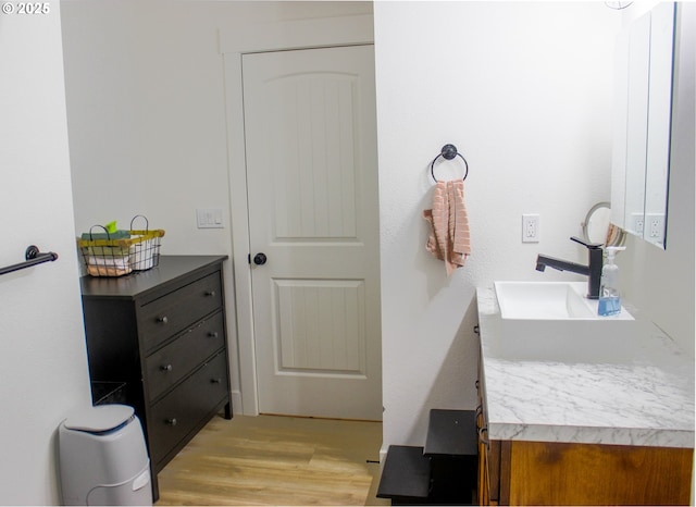 bathroom featuring wood finished floors and vanity