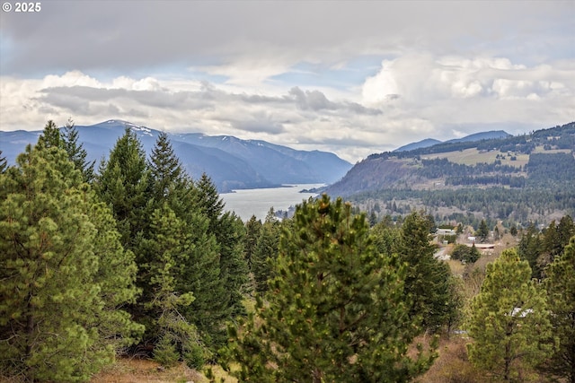 325 Rio Vista Dr, White Salmon, WA 98672 - mountain view featuring a wooded view and a water view