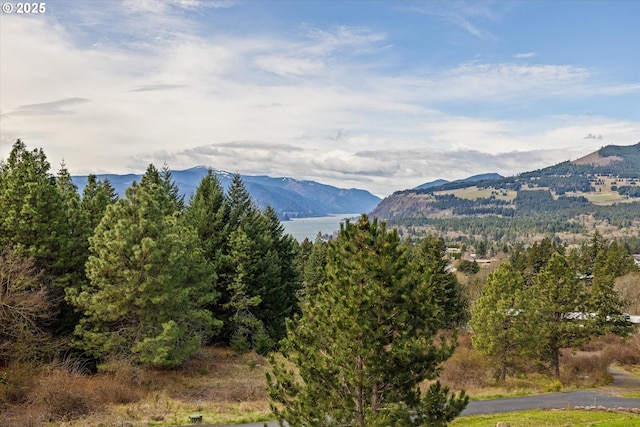 325 Rio Vista Dr, White Salmon, WA 98672 - view of mountain feature with a wooded view